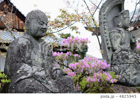 五智山蓮華寺の石仏 4825945