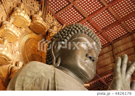 奈良の大仏（東大寺･大仏殿／奈良県奈良市雑司町） 4826176