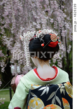 舞妓の髪型 4826199