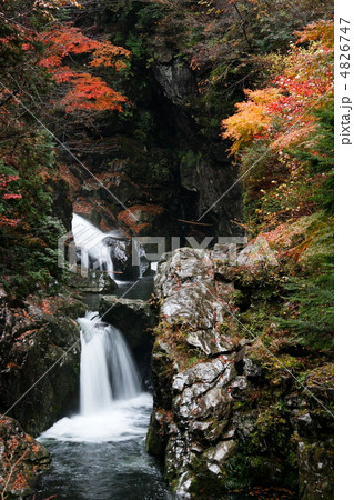 紅葉のみたらい渓谷 4826747