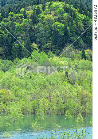 秋田　仙北市　宝仙湖 4826872