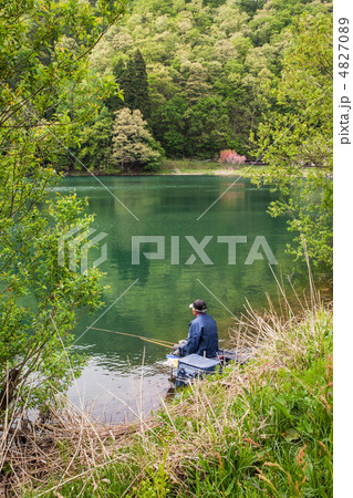 新緑の山の湖のヘラブナ釣り 新緑の山の湖のヘラブナ釣り 4827089