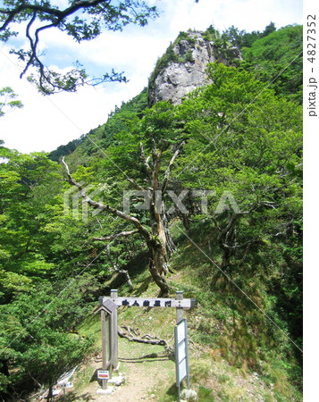 大峰山　山上ヶ岳の女人結界門 4827352