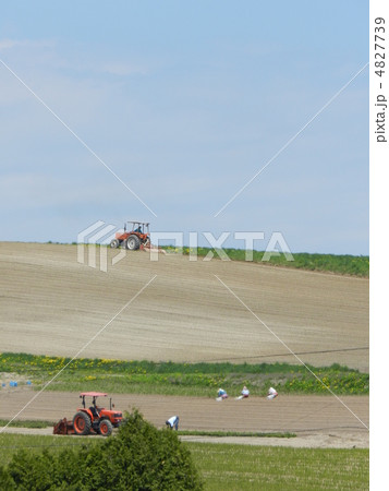 北海道の農業 4827739