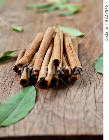 シナモン 4827845