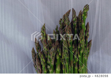 アスパラ 4828098
