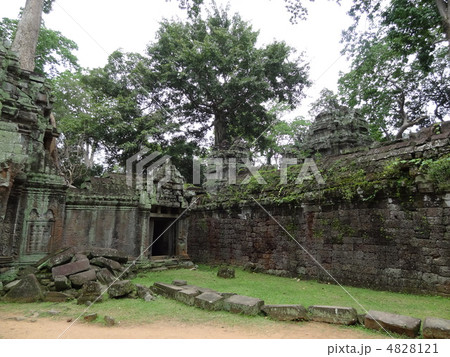 カンボジア　タプロム遺跡 4828121