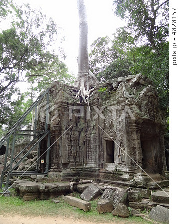 カンボジア　タプロム遺跡 4828157