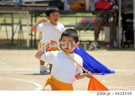 幼稚園の運動会 幼稚園の運動会 4828549