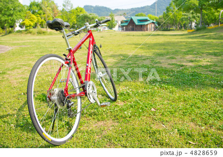 クロスバイク クロスバイク 4828659
