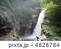 新緑の秋保大滝 4828784