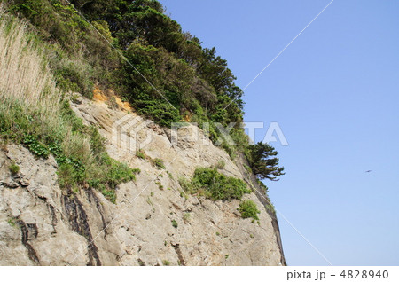 江ノ島 江ノ島 4828940