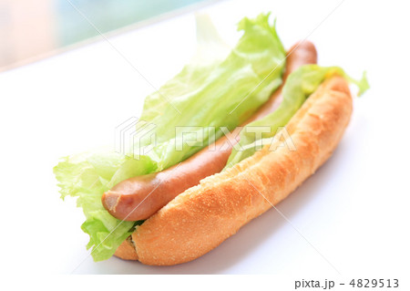 おいしいレタスドック おいしいレタスドック 4829513