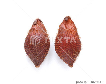 トロピカルフルーツ　サラク 4829616