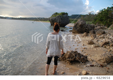 浜辺 4829658