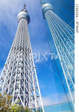 青空が広がる東京スカイツリーと壁面に映える東京スカイツリー 4829917