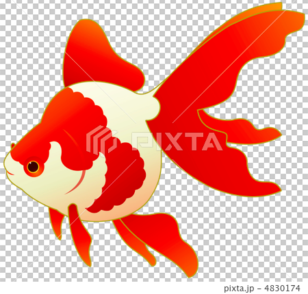 リュウキン　輪郭あり 4830174
