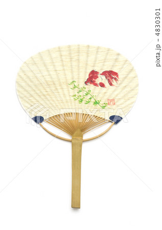 うちわ　金魚 4830301