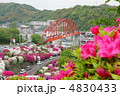 ツツジと音戸大橋 4830433