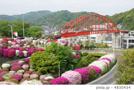 ツツジと音戸大橋 ツツジと音戸大橋 4830434