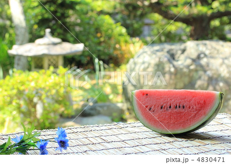 すいか 4830471