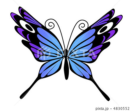 蝶05のイラスト素材 [4830552] - PIXTA