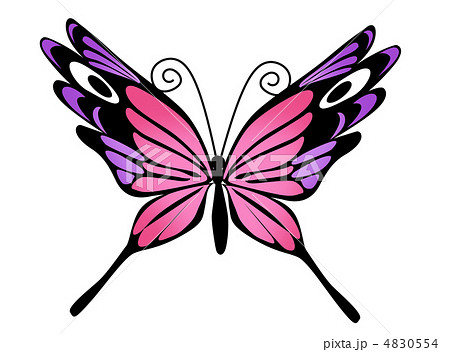 蝶03のイラスト素材 [4830554] - PIXTA