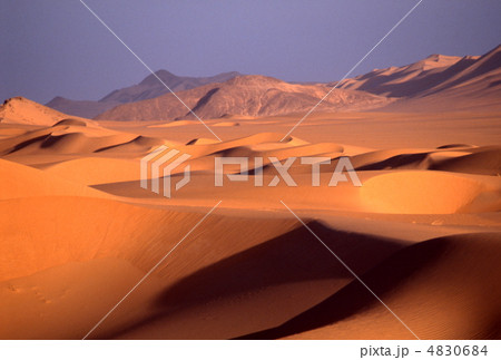 サハラ砂漠の砂丘 サハラ砂漠の砂丘 4830684