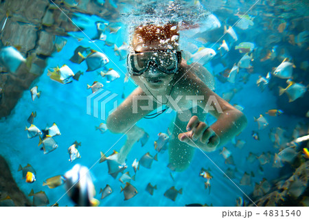 freedive 4831540