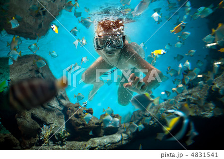 freedive 4831541