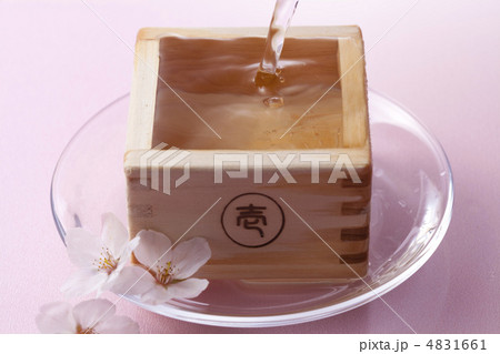 花見酒 花見酒 4831661