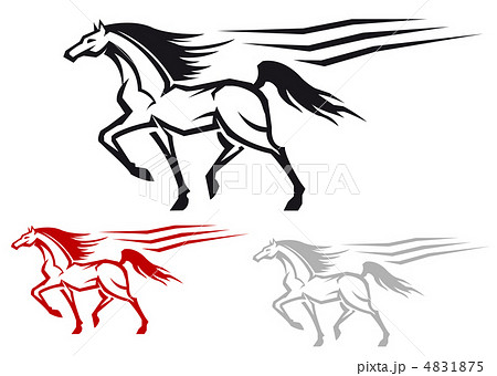 Racing stallion 4831875