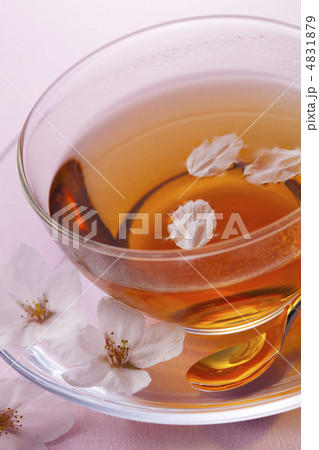 サクラと紅茶 4831879