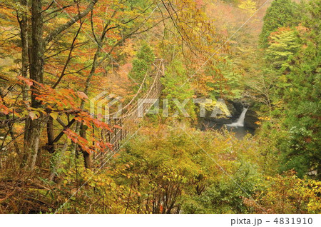 秋の奥祖谷かずら橋と滝 4831910