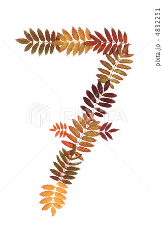 Numeral seven 7 put from autumn sheet Numeral seven 7 put from autumn sheet 4832251