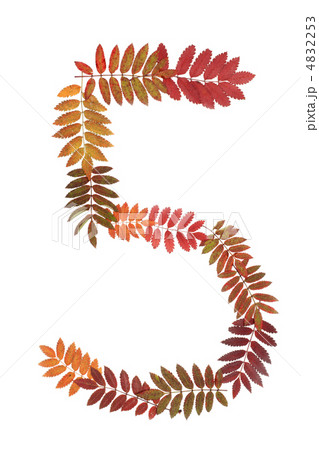 Numeral five 5 put from autumn sheet Numeral five 5 put from autumn sheet 4832253