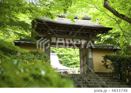 寂光院　三門 4833746