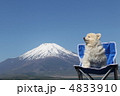 富士山とポメラニアンの横顔 4833910