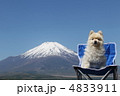 富士山とポメラニアン 4833911