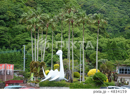 池田湖のイッシー 池田湖のイッシー 4834159