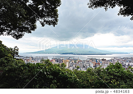 城山公園から望む桜島 城山公園から望む桜島 4834163