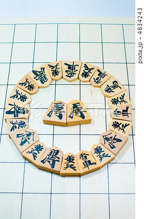 将棋の駒 4834243