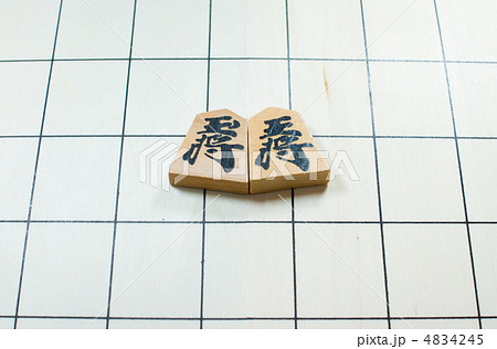 将棋の駒 4834245