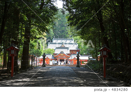 霧島神宮 参道と社殿 霧島神宮 参道と社殿 4834280