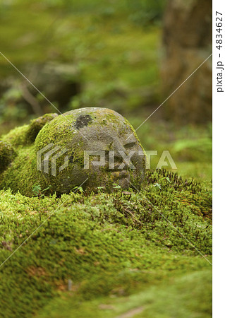 三千院 わらべ地蔵 三千院 わらべ地蔵 4834627