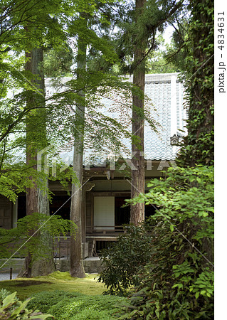 新緑の三千院 4834631