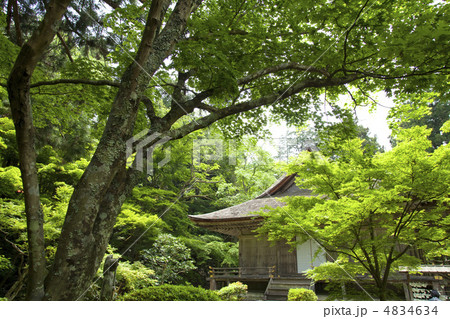 新緑の三千院 4834634