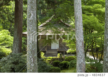 新緑の三千院 4834637