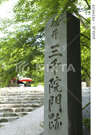 新緑の三千院 4834639