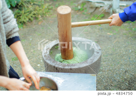 餅つき　餅　臼　杵　蓬餅 4834750